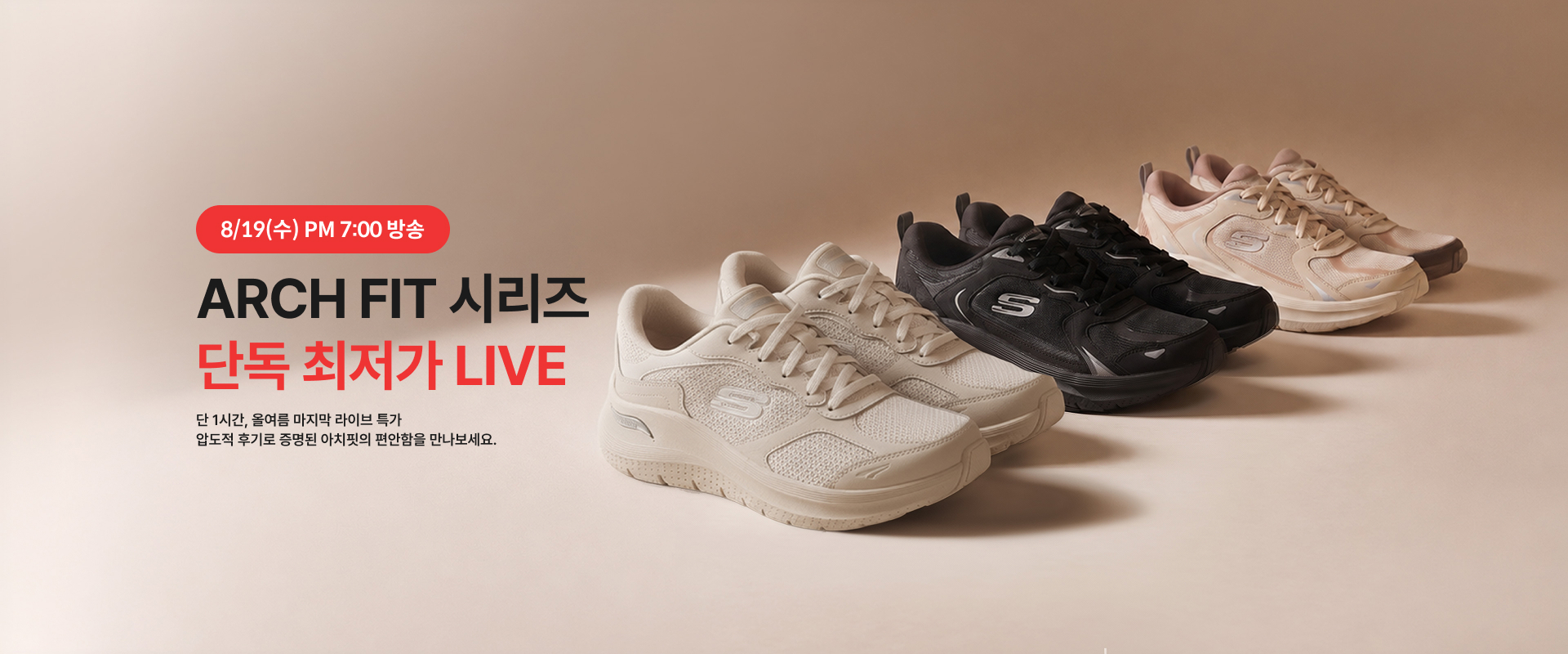 8월 19일 라이브예고