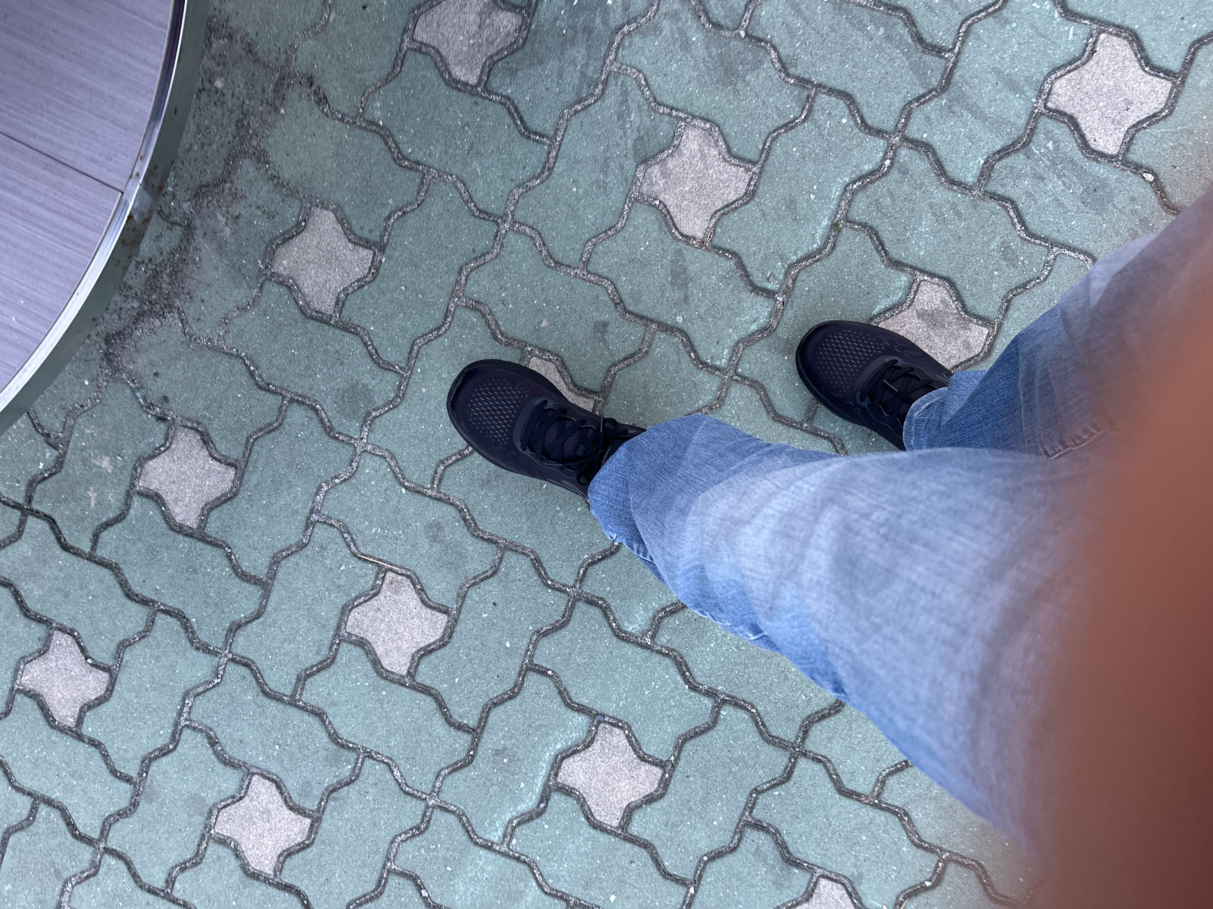 image.jpg
