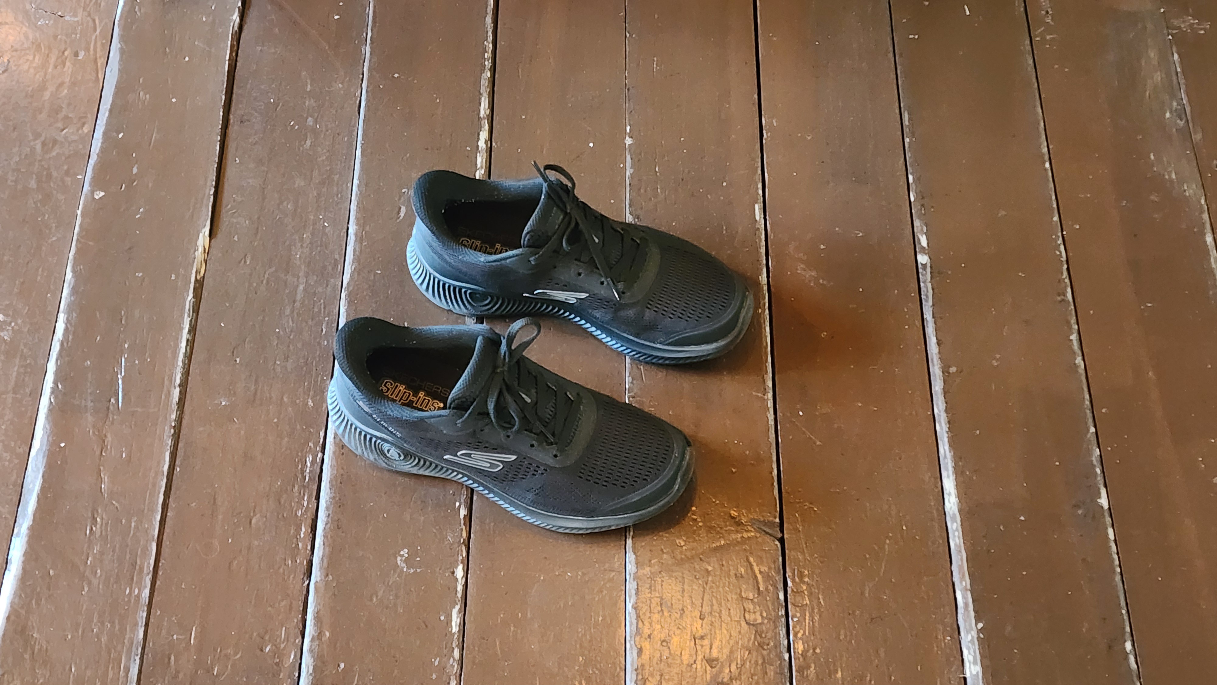 1000031981.jpg