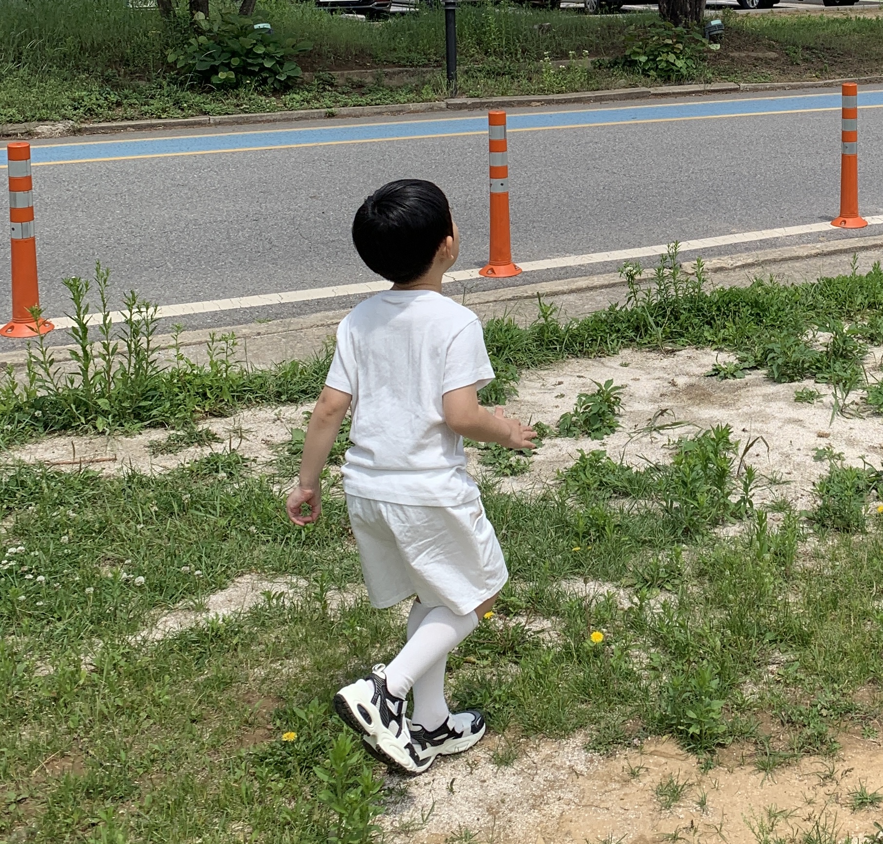 IMG_5197.jpeg