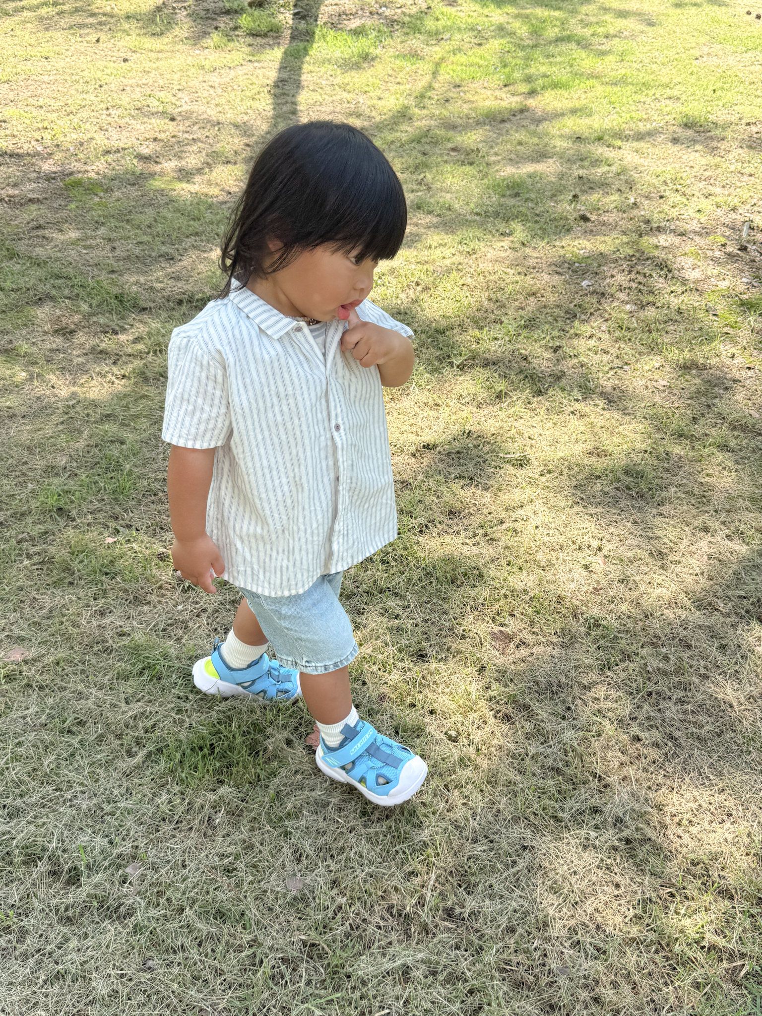 IMG_6548.jpeg