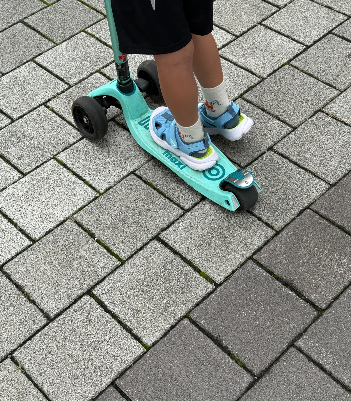 IMG_7475.jpeg