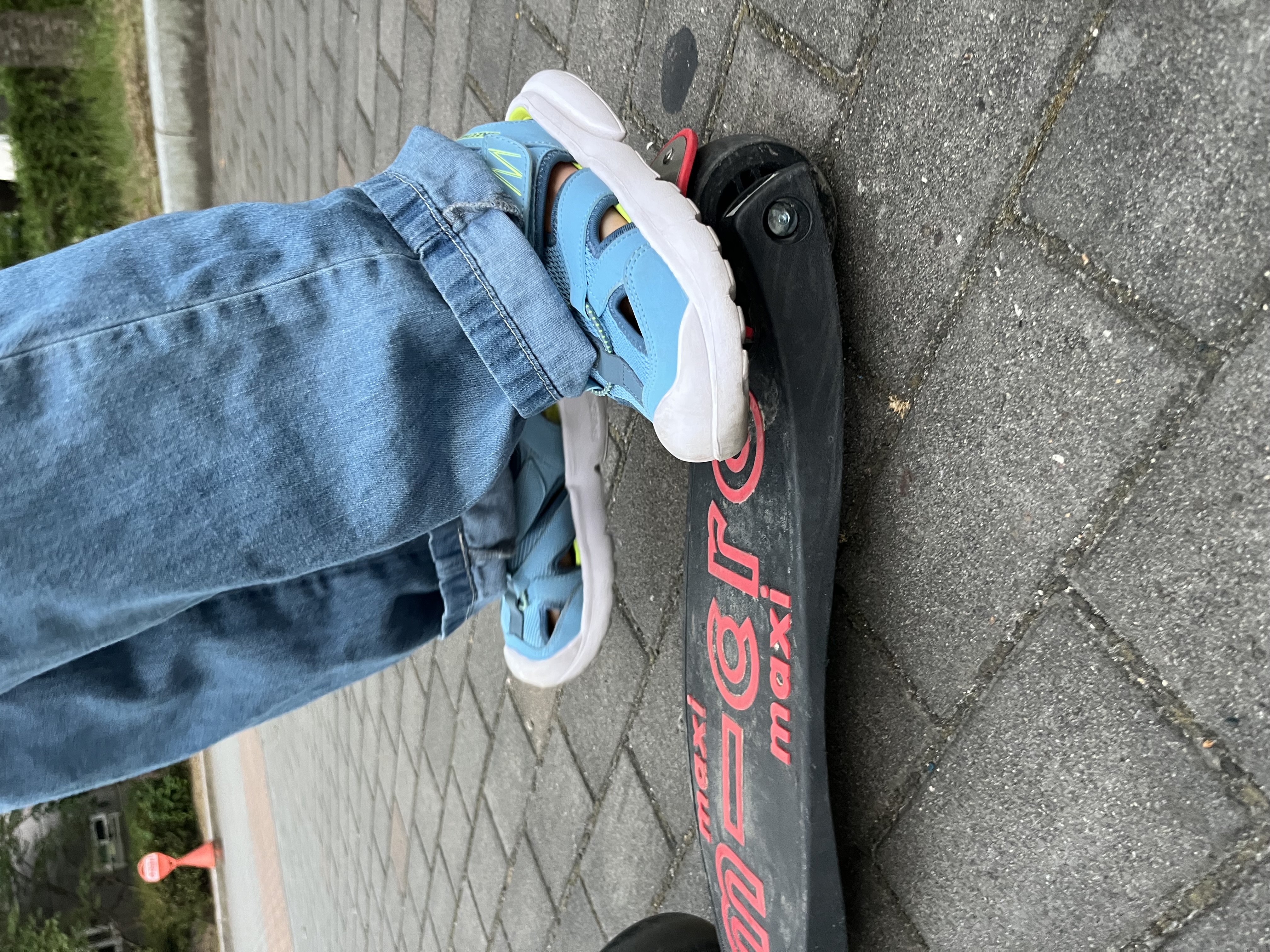 IMG_7971.jpeg