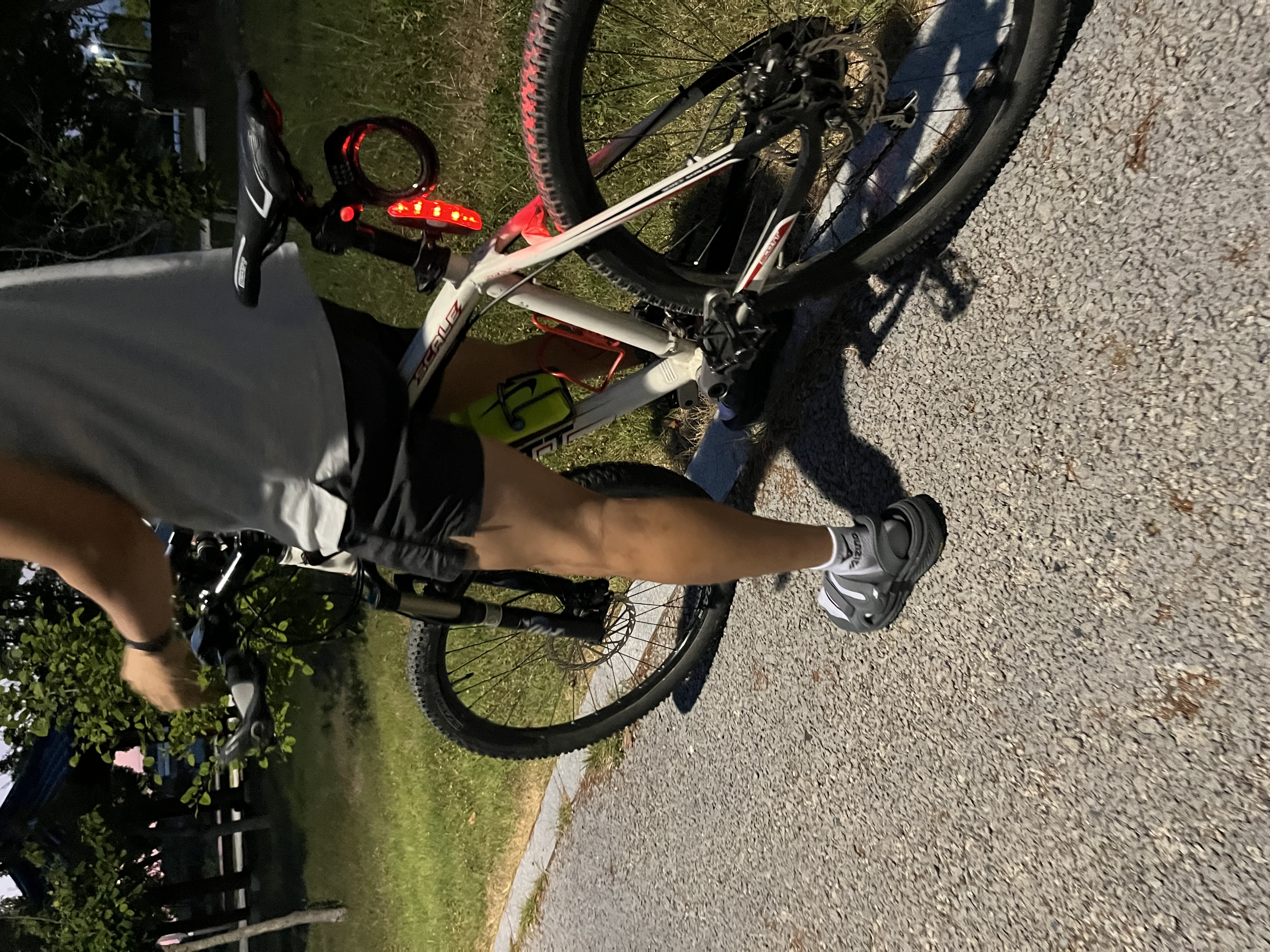 IMG_8022.jpeg