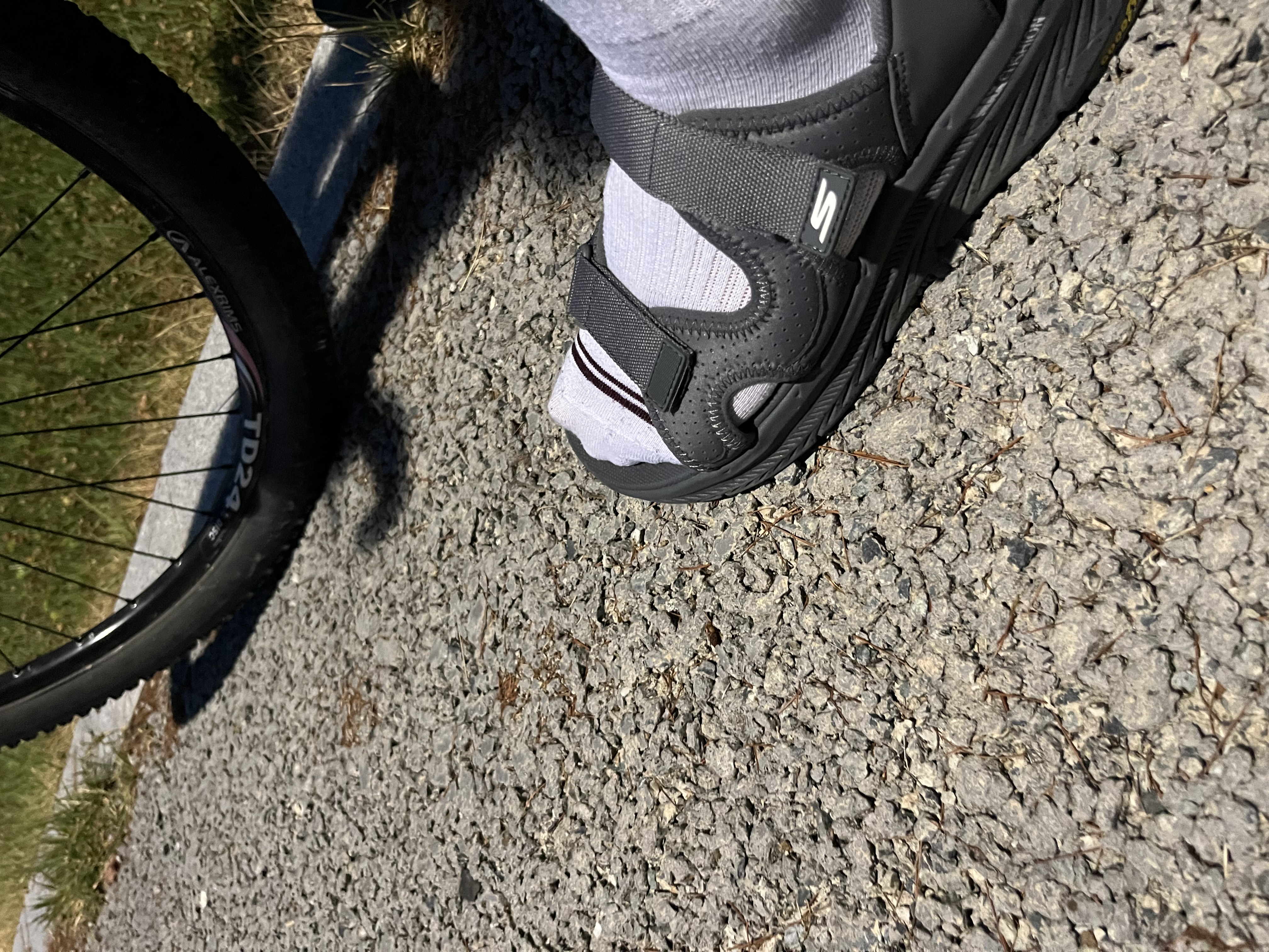 IMG_8023.jpeg