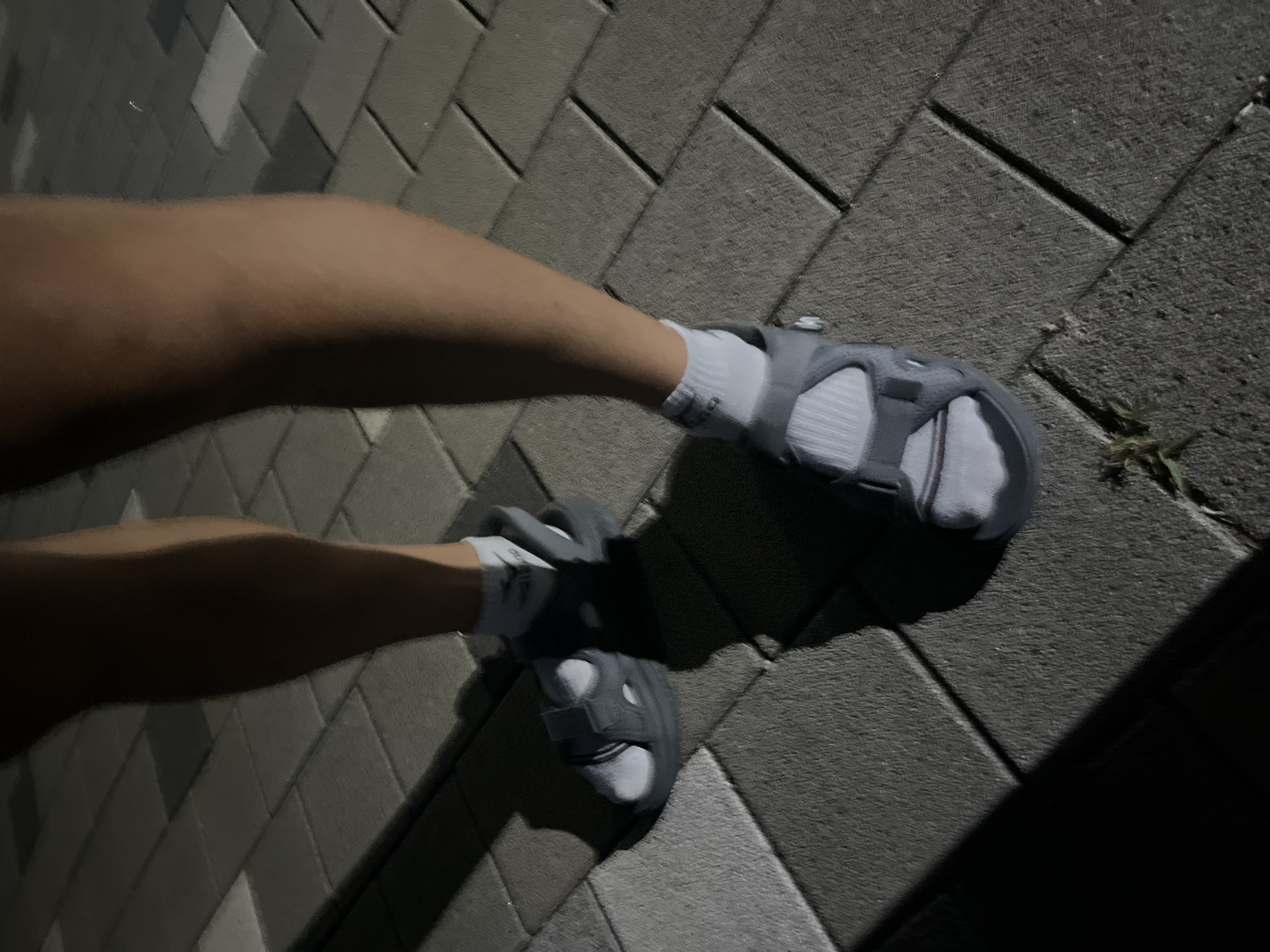 IMG_8031.jpeg
