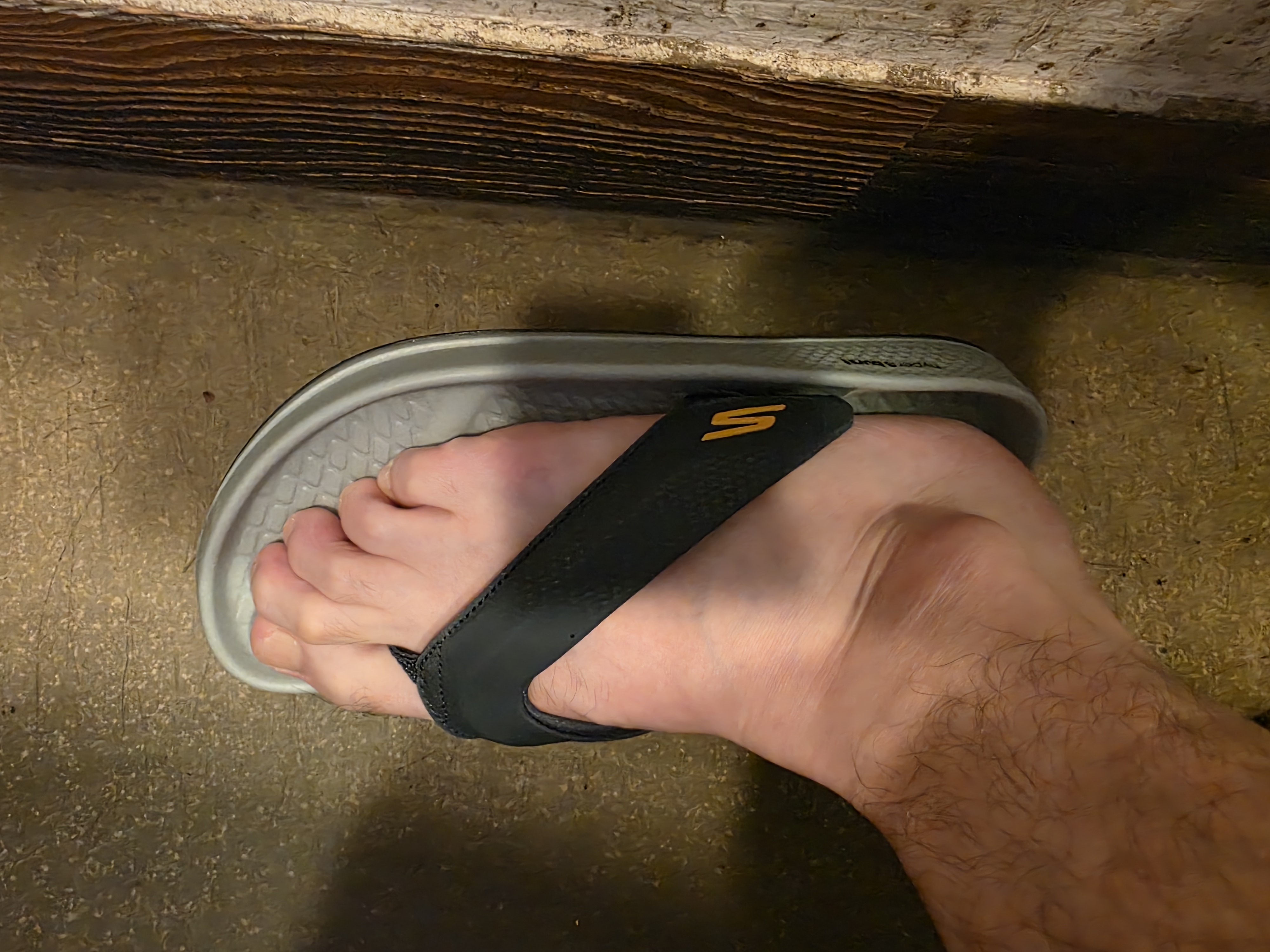 1000017322.jpg