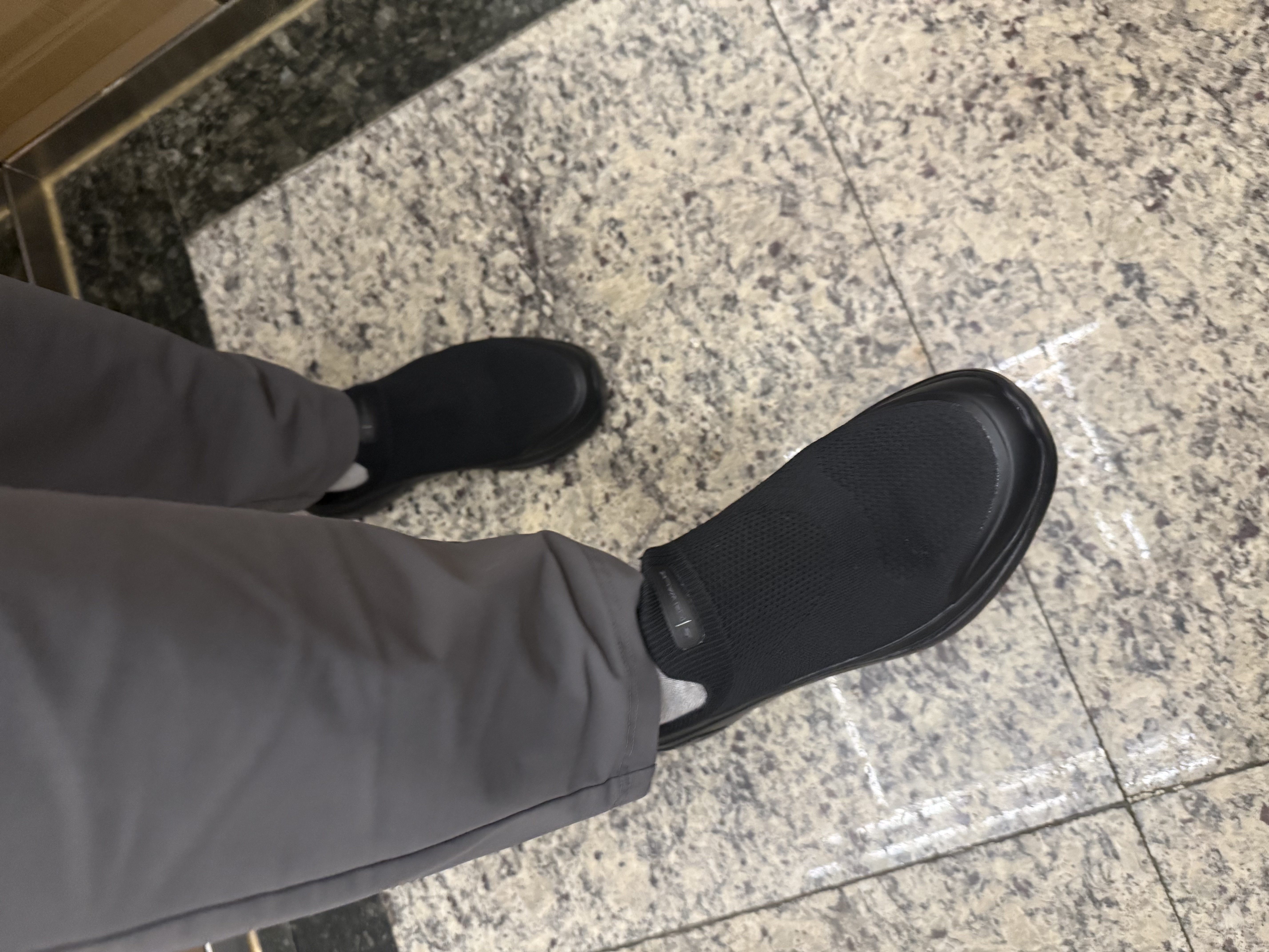 IMG_9593.jpeg