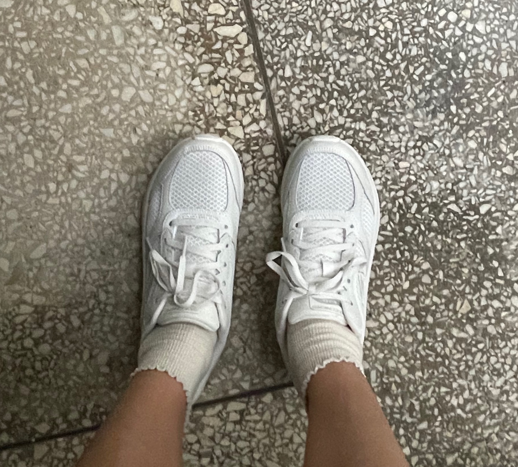 IMG_3300.jpeg