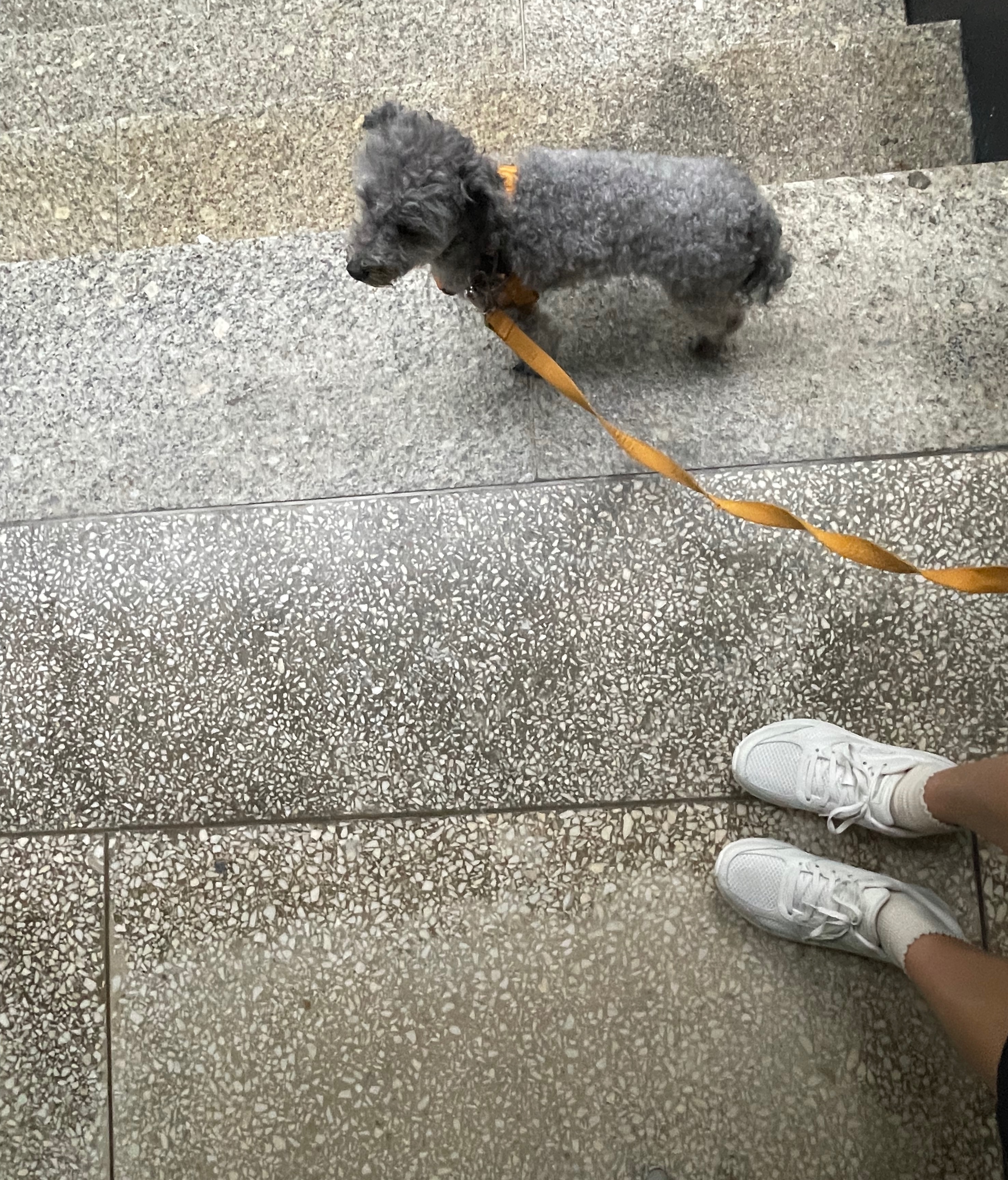 IMG_3301.jpeg
