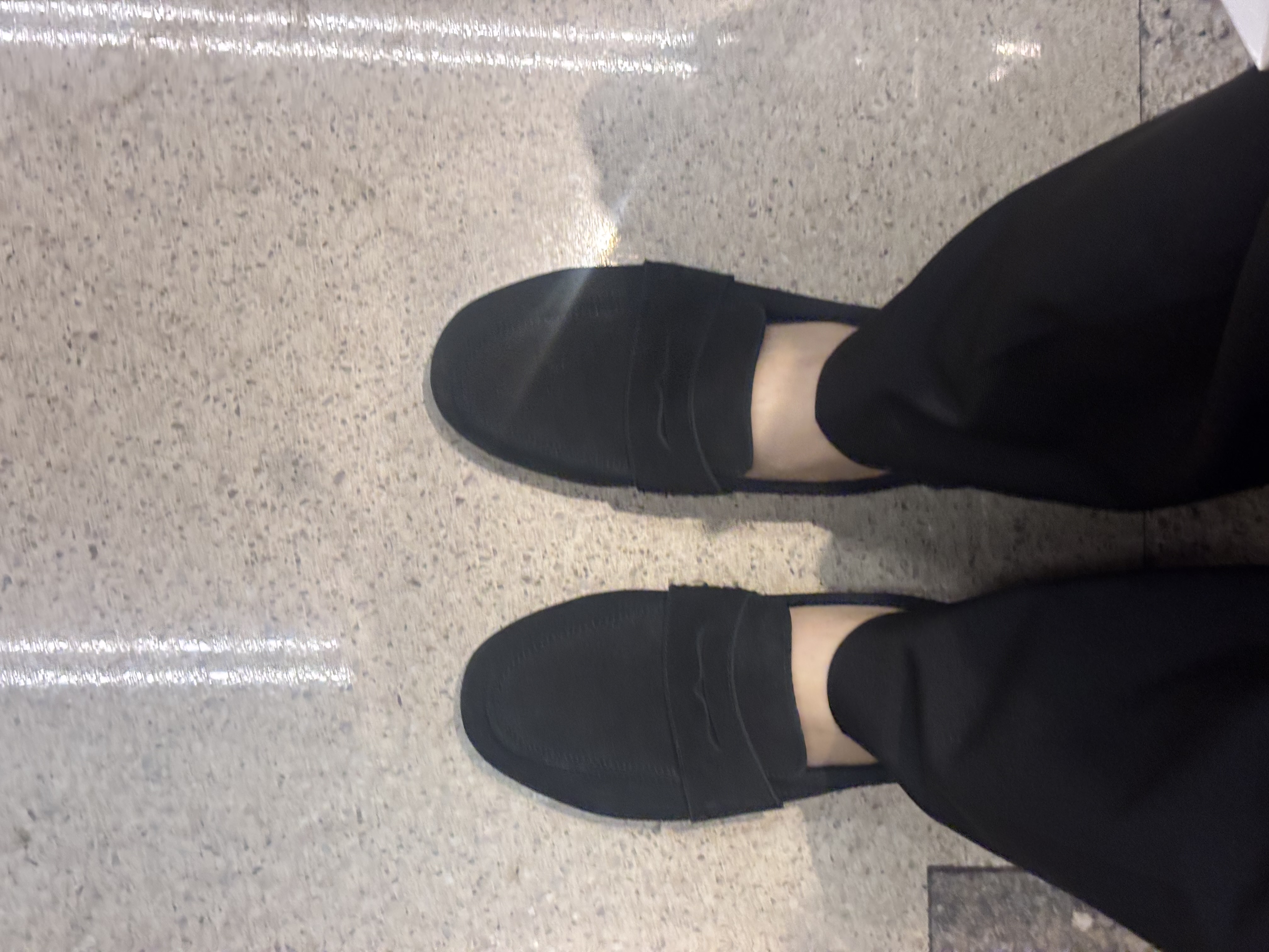 IMG_0262.jpeg